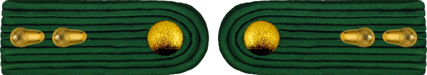 11 Kommandeur Oberst