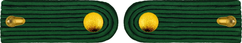 12 stellv Kommandeur